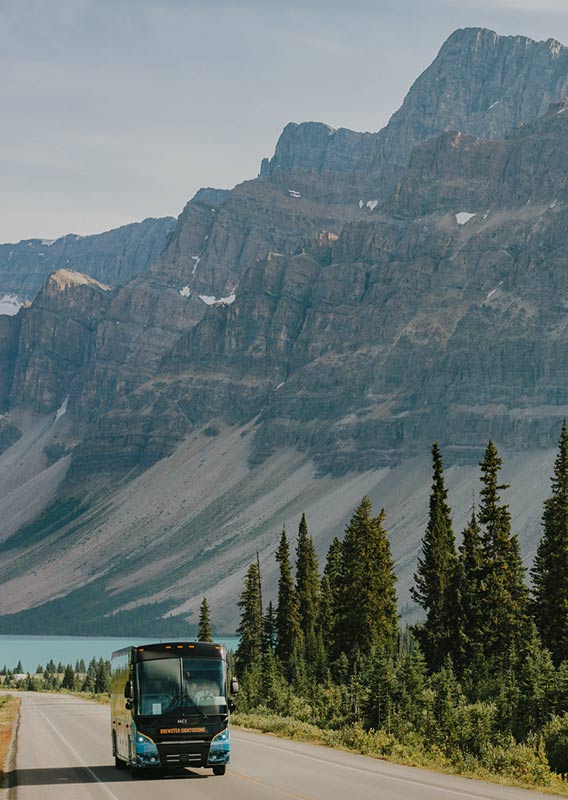 A coach bus drives down a road next to a stand of conifer trees, below tall mountains.